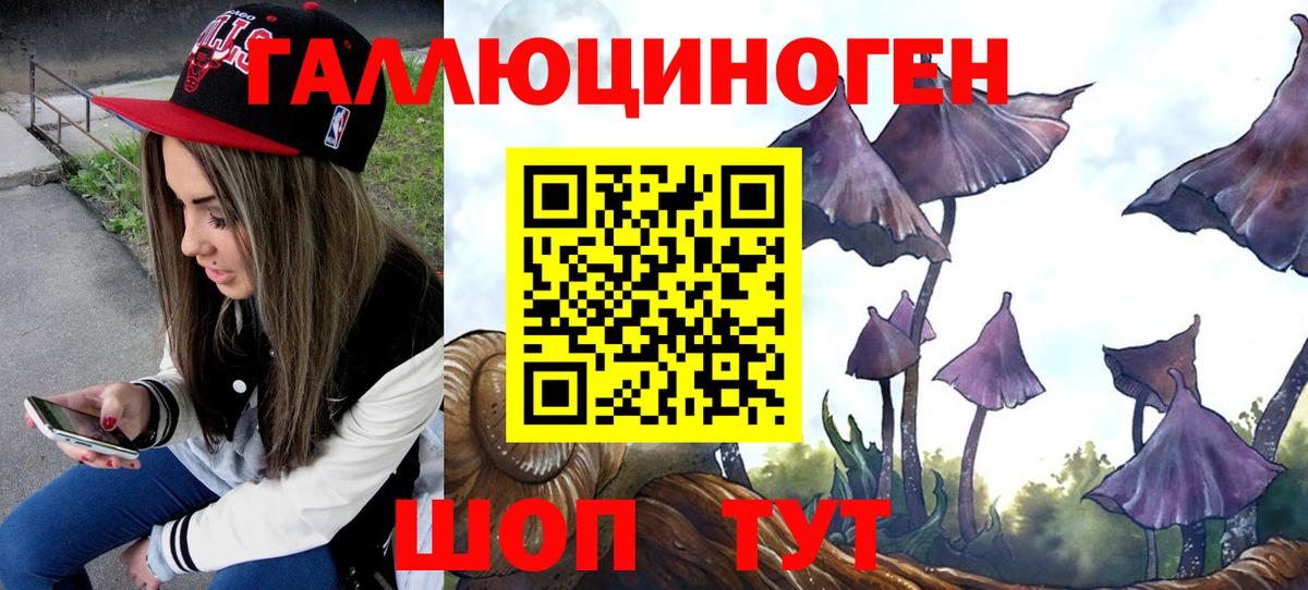 Псилоцибиновые грибы мицелий  Галлюциногенные грибы прущие грибы  Якутск  хочу   Вход с VPN 